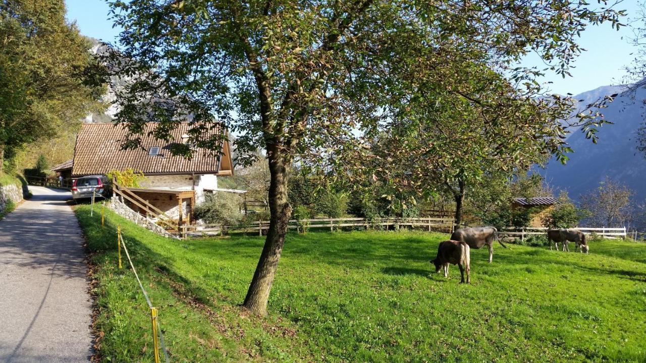 Chalet La Nos Molina di Ledro Rom bilde
